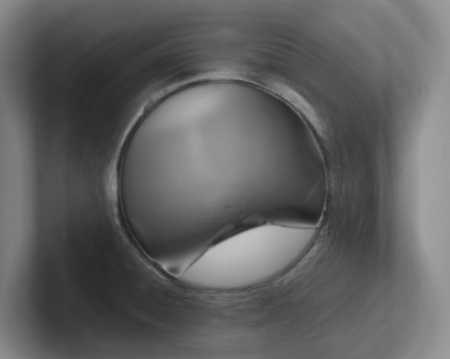 X0000102271428200807251340