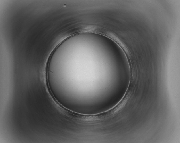 X0000102271434200807251340