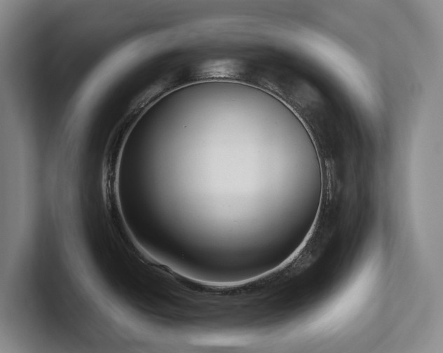 X0000102271438200807251340