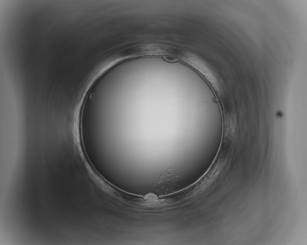 X0000102271439200807251340