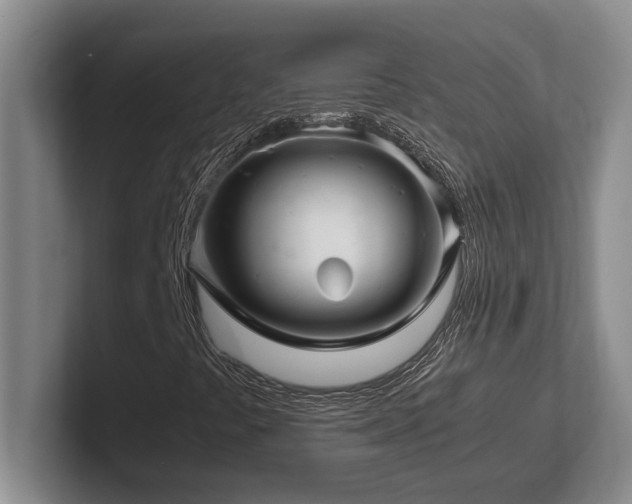 X0000102271441200807251340