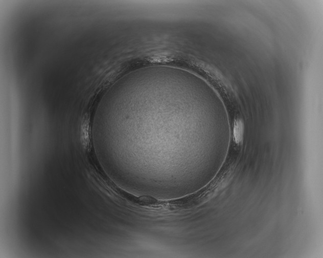 X0000102271444200807251340