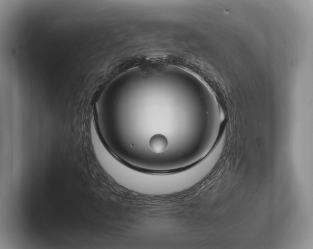 X0000102271445200807251340
