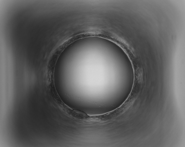 X0000102271448200807251340
