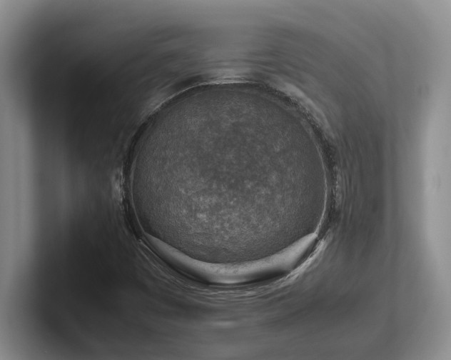 X0000102271449200807251340