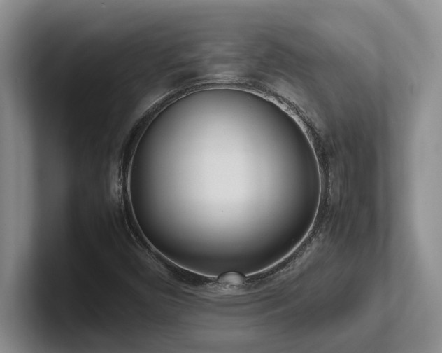 X0000102271450200807251340