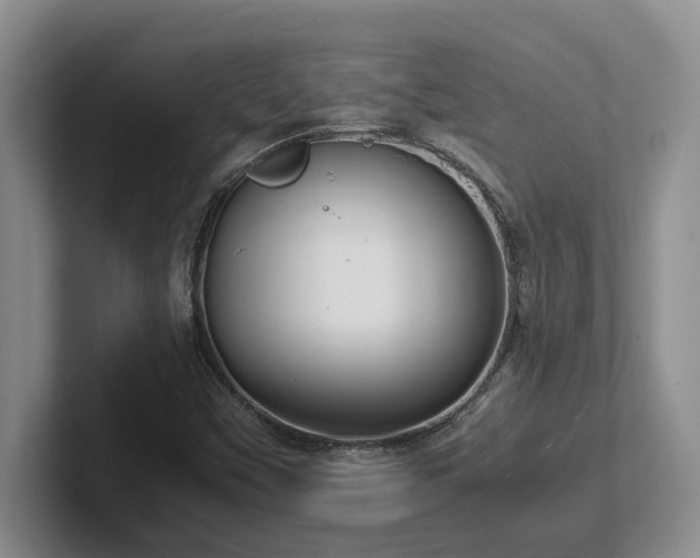 X0000102271451200807251340