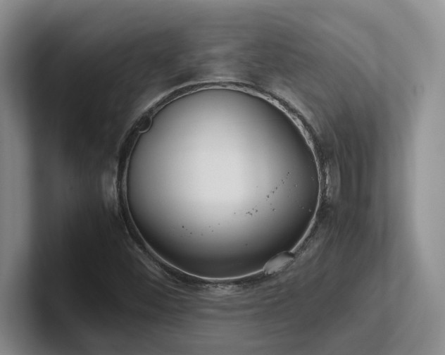 X0000102271452200807251340