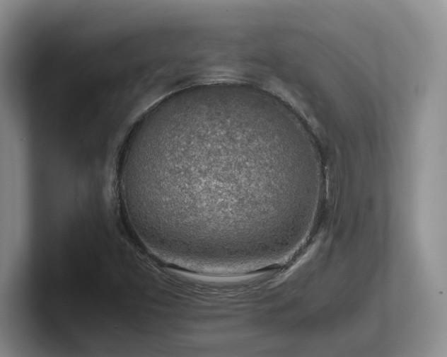 X0000102271453200807251340