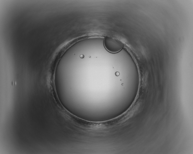 X0000102271454200807251340