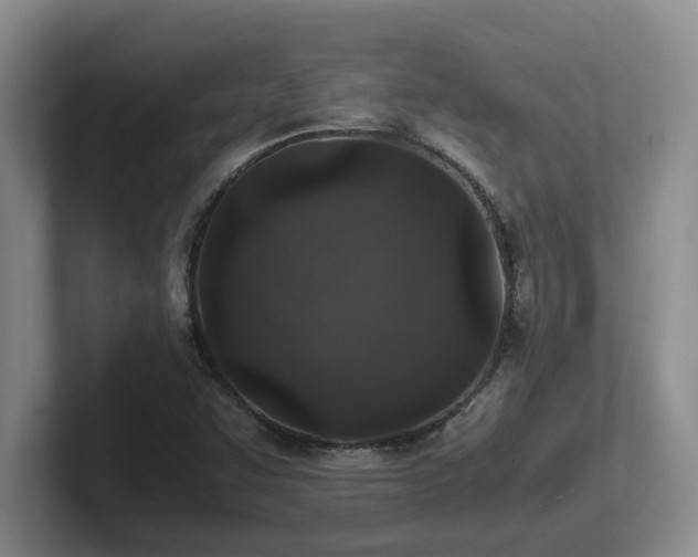 X0000102271455200807251340