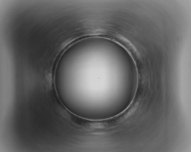 X0000102271457200807251340