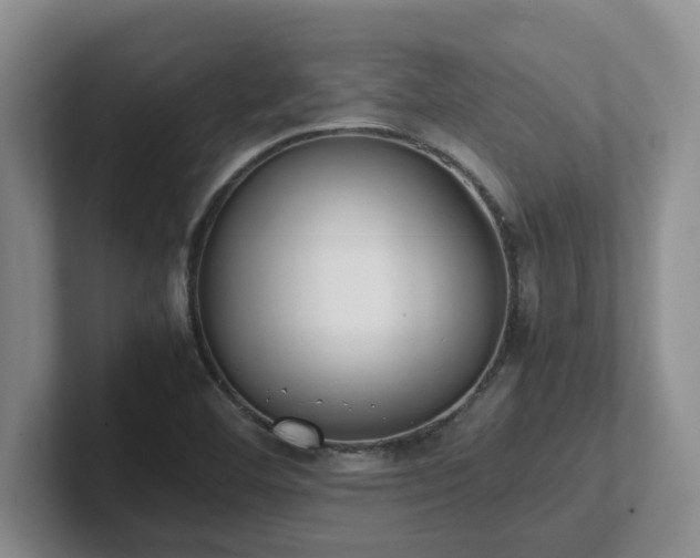 X0000102271460200807251340