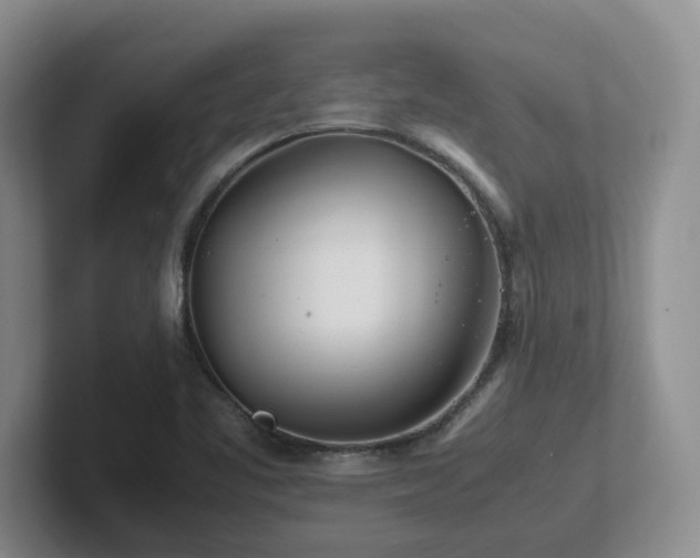 X0000102271461200807251340
