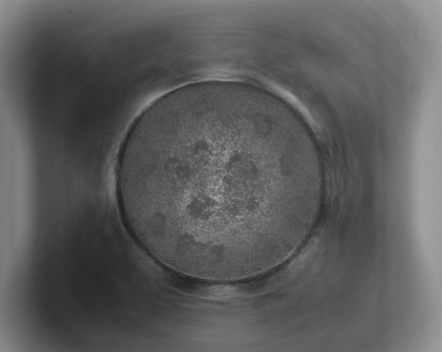 X0000102271463200807251340