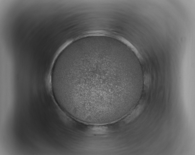 X0000102271466200807251339