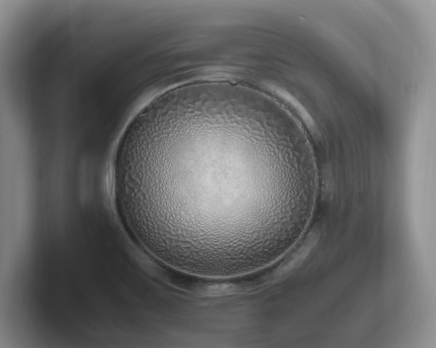 X0000102271467200807251339