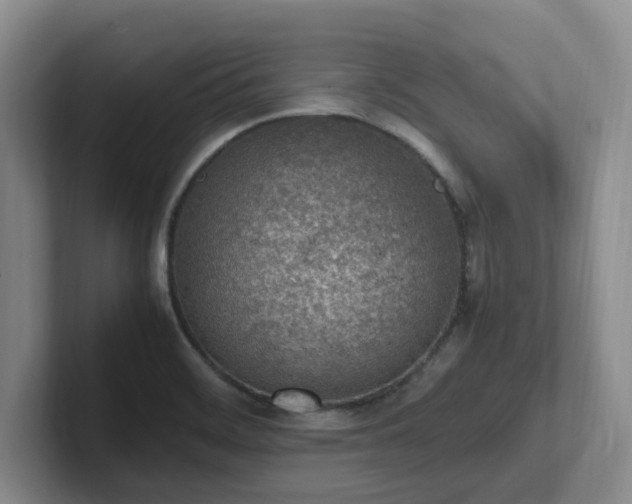 X0000102271468200807251339