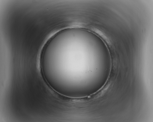 X0000102271469200807251339