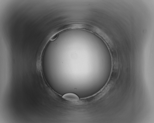 X0000102271473200807251339