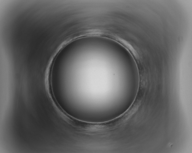 X0000102271475200807251339