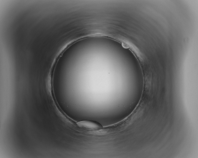 X0000102271476200807251339