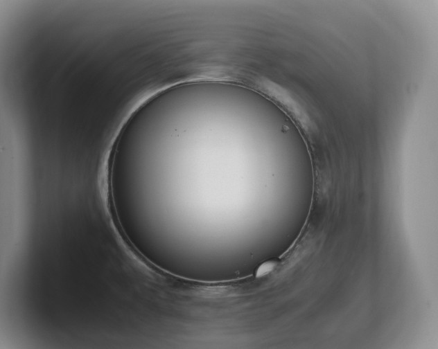 X0000102271479200807251339