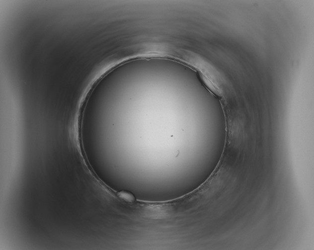 X0000102271480200807251339