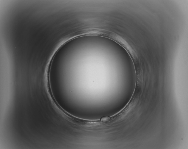 X0000102271483200807251339