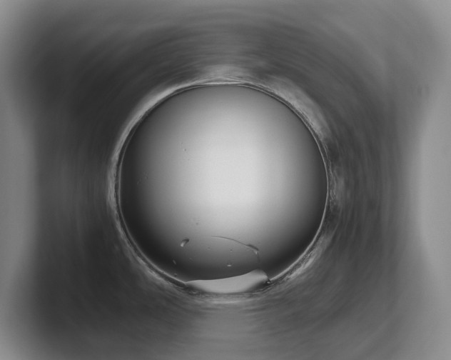 X0000102271486200807251339