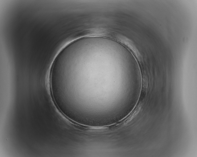 X0000102271487200807251339