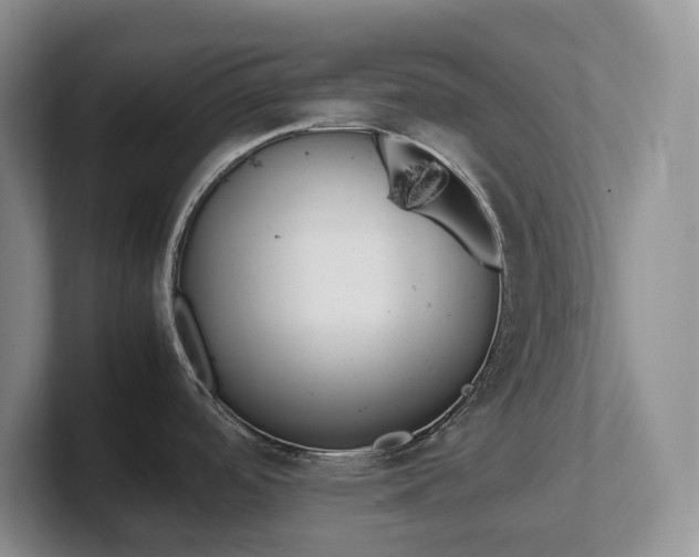 X0000102271488200807251339