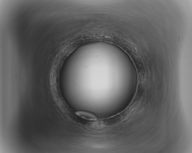 X0000102271489200807251339