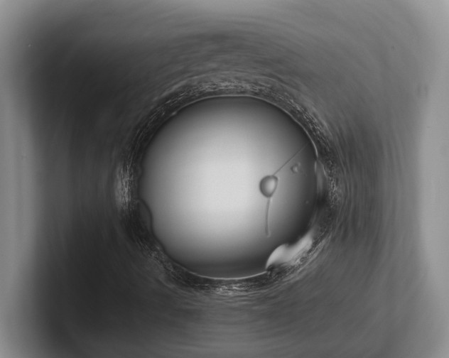 X0000102271490200807251339
