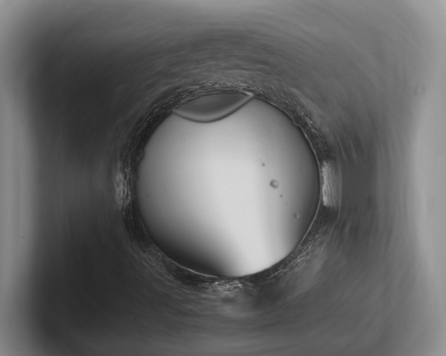 X0000102271491200807251339