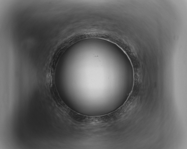 X0000102271493200807251339