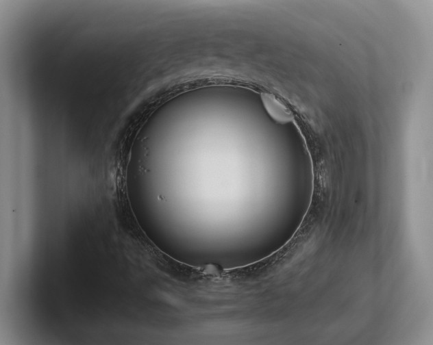 X0000102271495200807251339