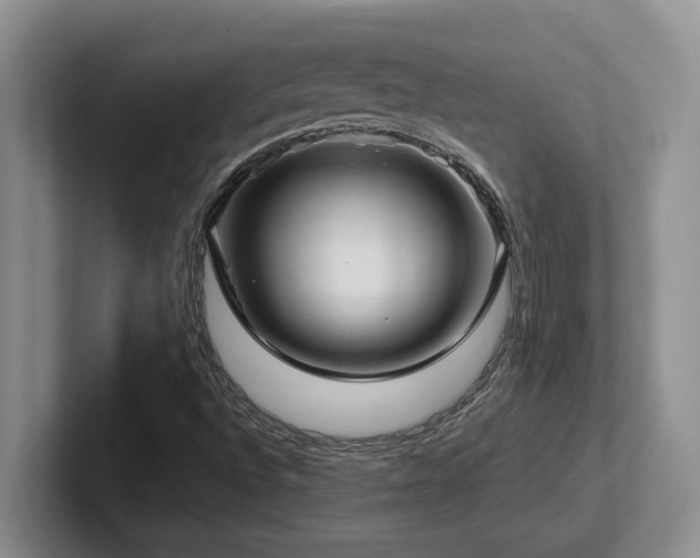 X0000102271496200807251339
