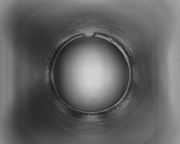 X0000102271497200807251339