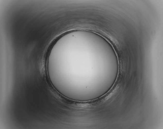 X0000102271498200807251339
