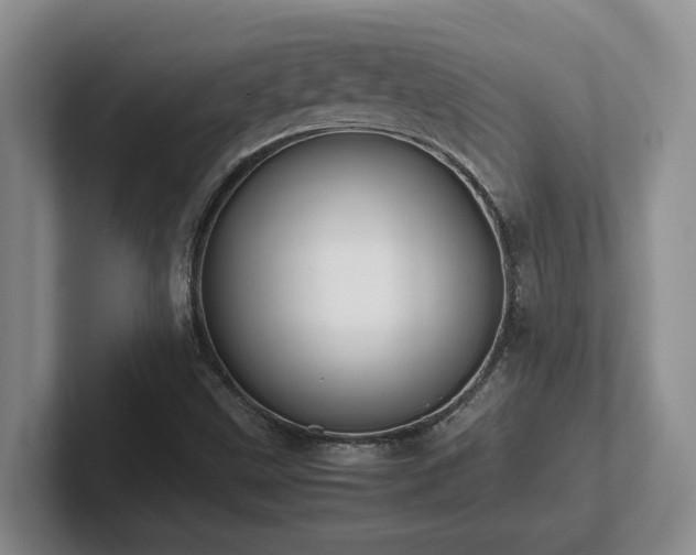 X0000102271499200807251339