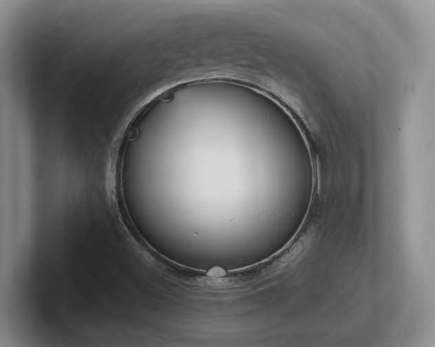 X0000102271500200807251339