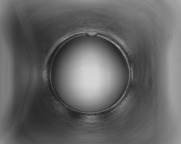 X0000102271501200807251339