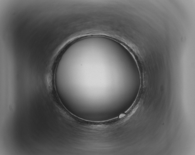 X0000102271502200807251339