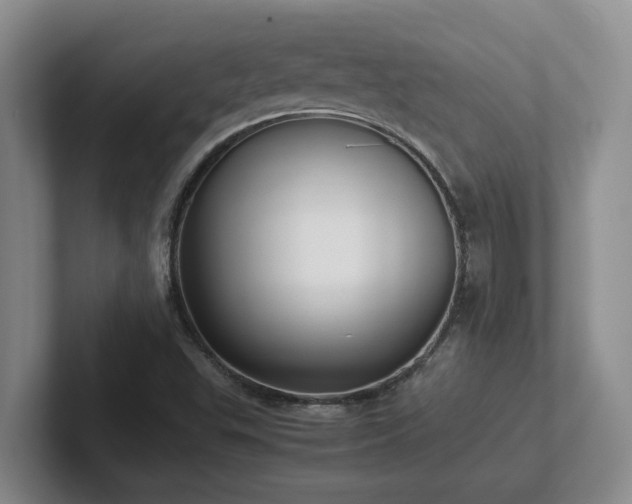 X0000102271503200807251339