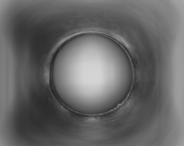 X0000102271504200807251339