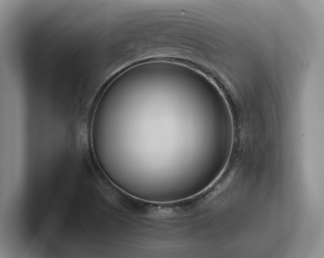 X0000102271505200807251339