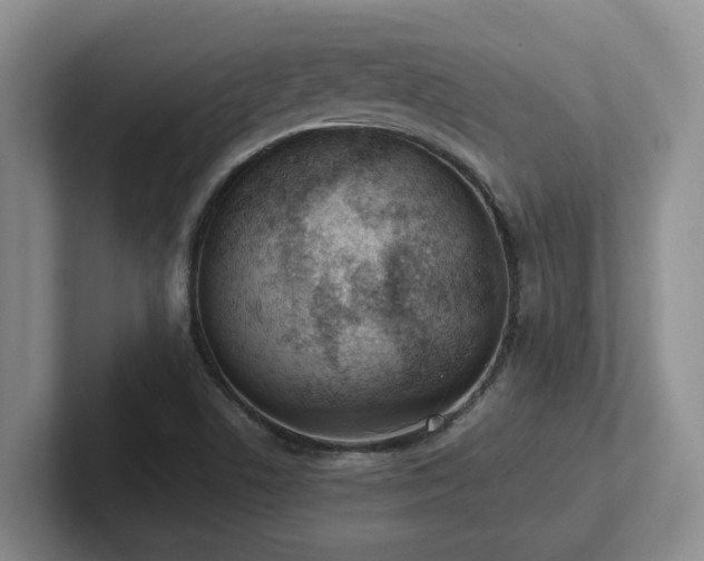 X0000102271506200807251339