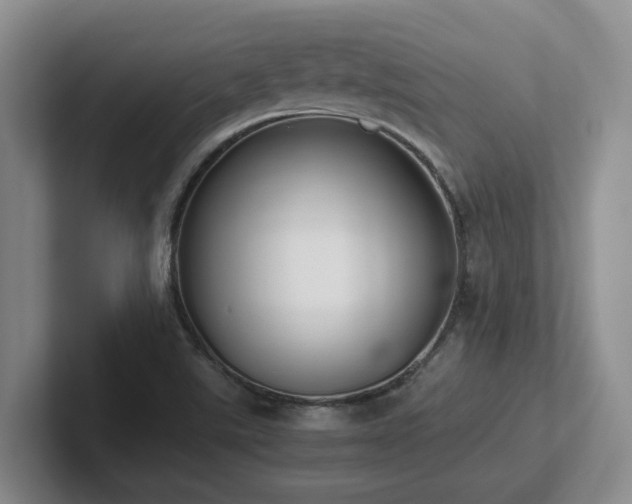 X0000102271507200807251339
