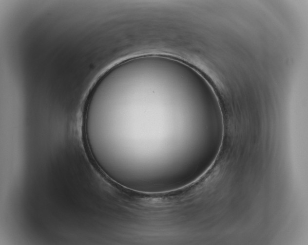 X0000102271508200807251339